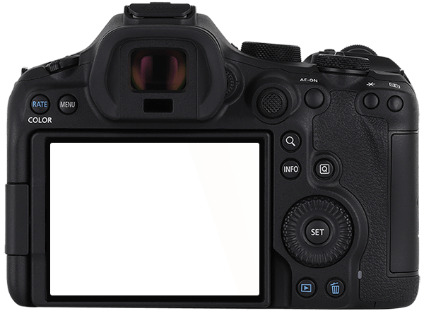 The Camera